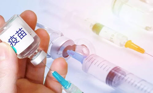 宠物疫苗接种禁忌症和注意事项