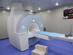 兽用CT与MRI检测设备对比