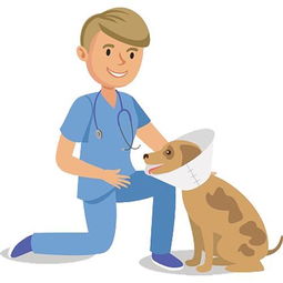 宠物诊疗管理制度