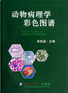 动物组织病理学图谱PDF：资源与解读
