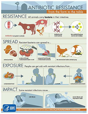 兽用抗生素的正确使用方法视频，兽用抗生素的正确使用方法