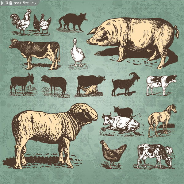 动物营养需要与饲养标准